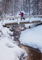 P1040930 copy 3.jpg P1040930 copy 3.jpg