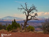 T_SBI-NM_sm (1).jpeg T_SBI-NM_sm (1).jpeg