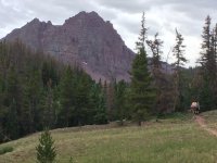 IMG_8042.jpg IMG_8042.jpg