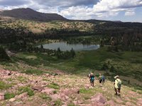 IMG_4667.jpg IMG_4667.jpg