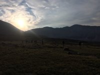 IMG_4763.JPG IMG_4763.JPG