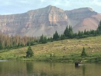 IMG_4801.JPG IMG_4801.JPG