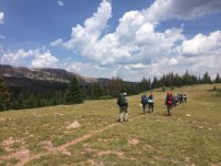 IMG_4823.jpg IMG_4823.jpg