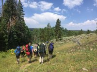 IMG_4869.jpg IMG_4869.jpg