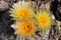 IMG_7502.jpg IMG_7502.jpg