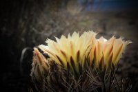 IMG_7509.jpg IMG_7509.jpg