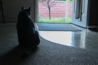 IMG_8003.jpg IMG_8003.jpg