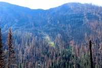 IMG_8339.jpg IMG_8339.jpg