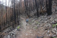 IMG_8393.jpg IMG_8393.jpg