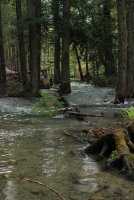 IMG_8418.jpg IMG_8418.jpg