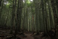 IMG_8423.jpg IMG_8423.jpg