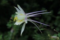 IMG_9254.jpg IMG_9254.jpg