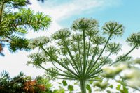 IMG_9620.jpg IMG_9620.jpg