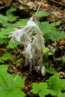 IMG_9636.jpg IMG_9636.jpg