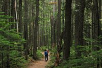 IMG_9658.jpg IMG_9658.jpg