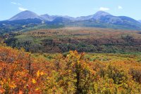 IMG_0966.jpg IMG_0966.jpg