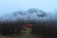 Trip 194 (184)-L.jpg