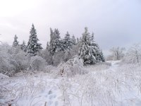 Trip 194 (266)-L.jpg