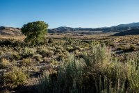 DSC00703 (1280x853).jpg