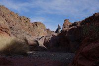 DSC01307 (1280x853).jpg