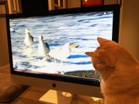 IMG_2720.jpg IMG_2720.jpg