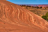 DSC_4917.jpg DSC_4917.jpg