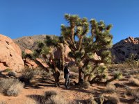 goldbutte- - 13.jpg goldbutte- - 13.jpg