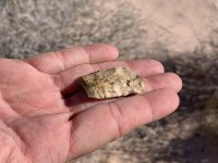 goldbutte- - 21.jpg goldbutte- - 21.jpg