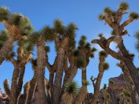 goldbutte- - 22.jpg goldbutte- - 22.jpg