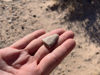 goldbutte- - 30.jpg goldbutte- - 30.jpg