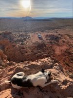 goldbutte- - 37.jpg goldbutte- - 37.jpg