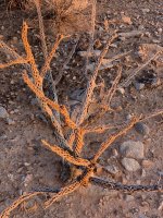 goldbutte- - 47.jpg goldbutte- - 47.jpg