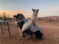 goldbutte- - 97.jpg goldbutte- - 97.jpg