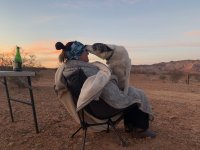 goldbutte- - 98.jpg goldbutte- - 98.jpg