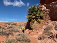 goldbutte- - 122.jpg goldbutte- - 122.jpg