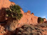 goldbutte- - 61.jpg goldbutte- - 61.jpg