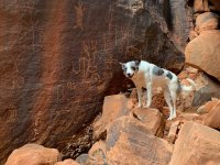 goldbutte- - 108.jpg goldbutte- - 108.jpg