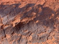 goldbutte- - 115.jpg goldbutte- - 115.jpg