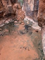 goldbutte- - 117.jpg goldbutte- - 117.jpg