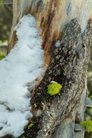 Margaret Lake-30.jpg