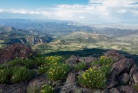 utarded (1 of 1).jpg