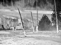 fullsizeoutput_ef5.jpeg fullsizeoutput_ef5.jpeg