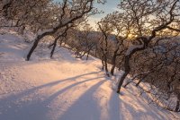 Traverse snow 2-7-20190011 (1).jpg Traverse snow 2-7-20190011 (1).jpg