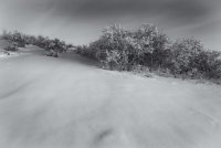 Traverse snow 2-7-20190043-bw.jpg Traverse snow 2-7-20190043-bw.jpg