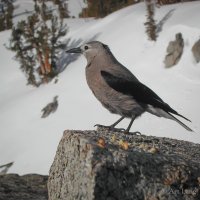 publishSmWr-1-4 copy 15.jpg