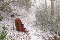 Trip 195 (129)-L.jpg