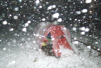 Trip 195 (167)-XL.jpg