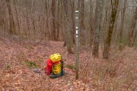 Trip 195 (260)-L.jpg