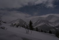 Pine Hollow Freee Fest 2-20190076-nr-s-sm.jpg