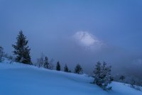 Pine Hollow Freee Fest 2-20190088-options2-proc.jpg